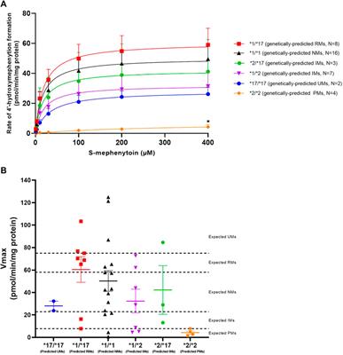 The impact of CYP2C19 genotype on phenoconversion by concomitant medication